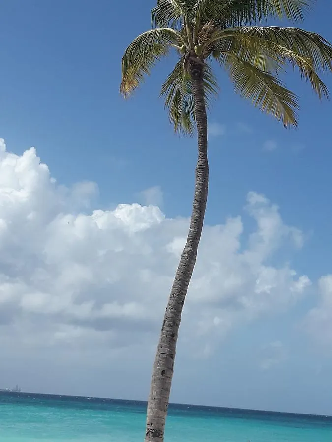Aruba Harmony Apartments Oranjestad