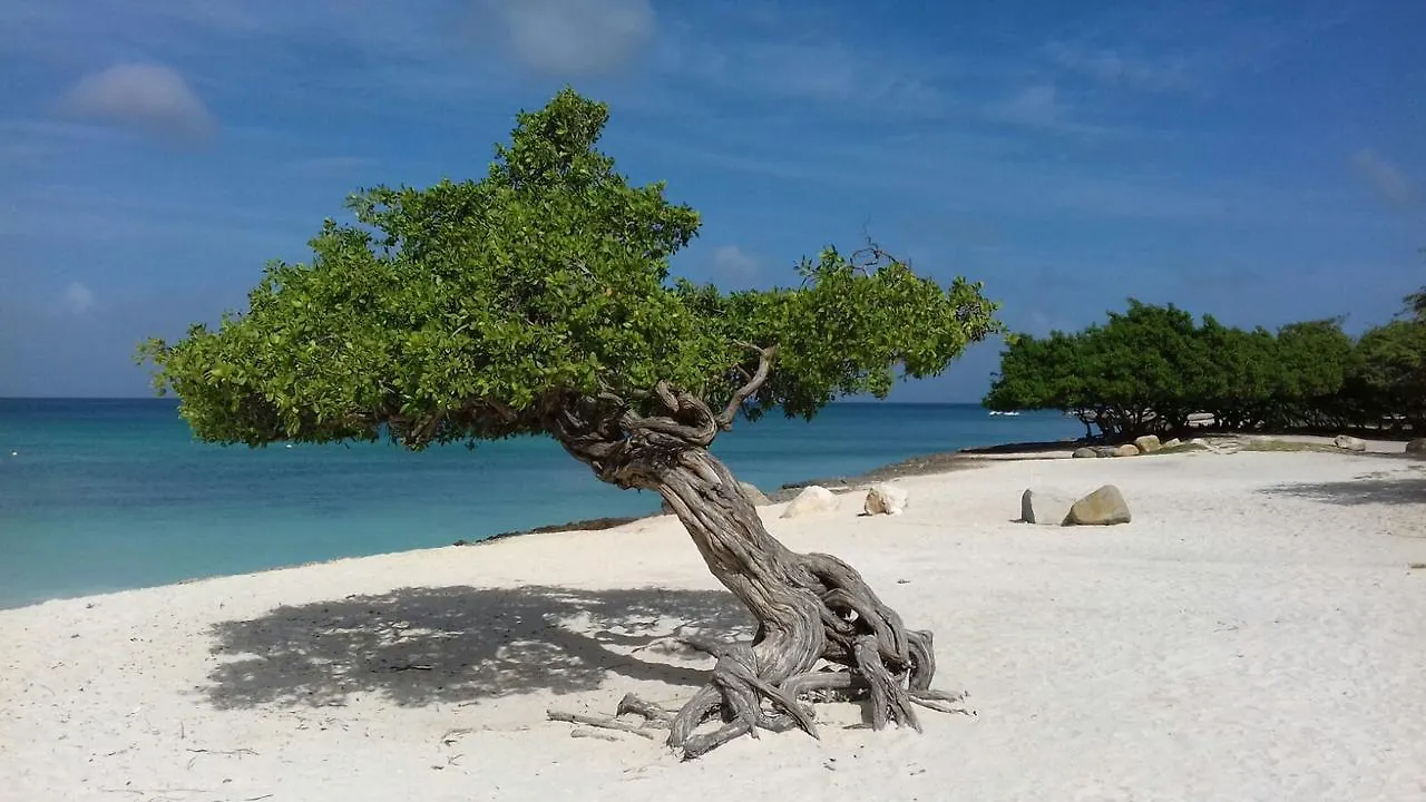 Aruba Harmony Apartments Oranjestad